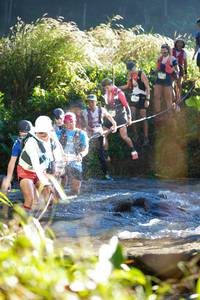 BIB: 
                            <button type="button" onclick="openModal(19264495)" class="btn btn-primary btn-sm float-right btn-popup" data-toggle="modal" data-target=".modal-high-quality">
                        <i class="fas fa-shopping-cart"></i> Add to Cart
                    </button>
                                            <button type="button" onclick="isThisMe(19264495, true)" class="btn btn-success btn-sm float-right btn-popup btn-isme hidden" data-toggle="tooltip" data-placement="bottom" title="นี่คือรูปของคุณใช่ไหม คลิกที่นี่เพื่อเอาเข้าอัลบั้ม">
                        <i class="fas fa-plus"></i> Add to album
                    </button>
                    <button type="button" onclick="isThisMe(19264495, false)" class="btn btn-warning btn-sm float-right btn-popup btn-isnotme hidden">
                        <i class="fas fa-ban"></i> Remove from album
                    </button>