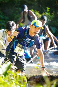 BIB: 2870
                            <button type="button" onclick="openModal(19264197)" class="btn btn-primary btn-sm float-right btn-popup" data-toggle="modal" data-target=".modal-high-quality">
                        <i class="fas fa-shopping-cart"></i> Add to Cart
                    </button>
                                            <button type="button" onclick="isThisMe(19264197, true)" class="btn btn-success btn-sm float-right btn-popup btn-isme hidden" data-toggle="tooltip" data-placement="bottom" title="นี่คือรูปของคุณใช่ไหม คลิกที่นี่เพื่อเอาเข้าอัลบั้ม">
                        <i class="fas fa-plus"></i> Add to album
                    </button>
                    <button type="button" onclick="isThisMe(19264197, false)" class="btn btn-warning btn-sm float-right btn-popup btn-isnotme hidden">
                        <i class="fas fa-ban"></i> Remove from album
                    </button>