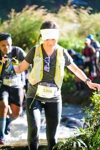 BIB: 2316
                            <button type="button" onclick="openModal(19261994)" class="btn btn-primary btn-sm float-right btn-popup" data-toggle="modal" data-target=".modal-high-quality">
                        <i class="fas fa-shopping-cart"></i> Add to Cart
                    </button>
                                            <button type="button" onclick="isThisMe(19261994, true)" class="btn btn-success btn-sm float-right btn-popup btn-isme hidden" data-toggle="tooltip" data-placement="bottom" title="นี่คือรูปของคุณใช่ไหม คลิกที่นี่เพื่อเอาเข้าอัลบั้ม">
                        <i class="fas fa-plus"></i> Add to album
                    </button>
                    <button type="button" onclick="isThisMe(19261994, false)" class="btn btn-warning btn-sm float-right btn-popup btn-isnotme hidden">
                        <i class="fas fa-ban"></i> Remove from album
                    </button>