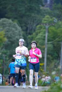 BIB: 128, 8133
                            <button type="button" onclick="openModal(18927039)" class="btn btn-primary btn-sm float-right btn-popup" data-toggle="modal" data-target=".modal-high-quality">
                        <i class="fas fa-shopping-cart"></i> Add to Cart
                    </button>
                                            <button type="button" onclick="isThisMe(18927039, true)" class="btn btn-success btn-sm float-right btn-popup btn-isme hidden" data-toggle="tooltip" data-placement="bottom" title="นี่คือรูปของคุณใช่ไหม คลิกที่นี่เพื่อเอาเข้าอัลบั้ม">
                        <i class="fas fa-plus"></i> Add to album
                    </button>
                    <button type="button" onclick="isThisMe(18927039, false)" class="btn btn-warning btn-sm float-right btn-popup btn-isnotme hidden">
                        <i class="fas fa-ban"></i> Remove from album
                    </button>