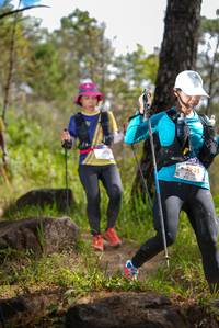 BIB: 
                            <button type="button" onclick="openModal(18929313)" class="btn btn-primary btn-sm float-right btn-popup" data-toggle="modal" data-target=".modal-high-quality">
                        <i class="fas fa-shopping-cart"></i> Add to Cart
                    </button>
                                            <button type="button" onclick="isThisMe(18929313, true)" class="btn btn-success btn-sm float-right btn-popup btn-isme hidden" data-toggle="tooltip" data-placement="bottom" title="นี่คือรูปของคุณใช่ไหม คลิกที่นี่เพื่อเอาเข้าอัลบั้ม">
                        <i class="fas fa-plus"></i> Add to album
                    </button>
                    <button type="button" onclick="isThisMe(18929313, false)" class="btn btn-warning btn-sm float-right btn-popup btn-isnotme hidden">
                        <i class="fas fa-ban"></i> Remove from album
                    </button>