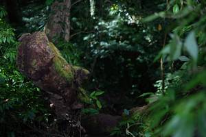 BIB: 
                            <button type="button" onclick="openModal(19286592)" class="btn btn-primary btn-sm float-right btn-popup" data-toggle="modal" data-target=".modal-high-quality">
                        <i class="fas fa-shopping-cart"></i> Add to Cart
                    </button>
                                            <button type="button" onclick="isThisMe(19286592, true)" class="btn btn-success btn-sm float-right btn-popup btn-isme hidden" data-toggle="tooltip" data-placement="bottom" title="นี่คือรูปของคุณใช่ไหม คลิกที่นี่เพื่อเอาเข้าอัลบั้ม">
                        <i class="fas fa-plus"></i> Add to album
                    </button>
                    <button type="button" onclick="isThisMe(19286592, false)" class="btn btn-warning btn-sm float-right btn-popup btn-isnotme hidden">
                        <i class="fas fa-ban"></i> Remove from album
                    </button>