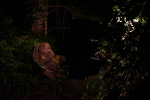 BIB: 
                            <button type="button" onclick="openModal(19281739)" class="btn btn-primary btn-sm float-right btn-popup" data-toggle="modal" data-target=".modal-high-quality">
                        <i class="fas fa-shopping-cart"></i> Add to Cart
                    </button>
                                            <button type="button" onclick="isThisMe(19281739, true)" class="btn btn-success btn-sm float-right btn-popup btn-isme hidden" data-toggle="tooltip" data-placement="bottom" title="นี่คือรูปของคุณใช่ไหม คลิกที่นี่เพื่อเอาเข้าอัลบั้ม">
                        <i class="fas fa-plus"></i> Add to album
                    </button>
                    <button type="button" onclick="isThisMe(19281739, false)" class="btn btn-warning btn-sm float-right btn-popup btn-isnotme hidden">
                        <i class="fas fa-ban"></i> Remove from album
                    </button>