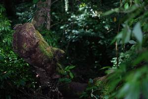 BIB: 
                            <button type="button" onclick="openModal(19286594)" class="btn btn-primary btn-sm float-right btn-popup" data-toggle="modal" data-target=".modal-high-quality">
                        <i class="fas fa-shopping-cart"></i> Add to Cart
                    </button>
                                            <button type="button" onclick="isThisMe(19286594, true)" class="btn btn-success btn-sm float-right btn-popup btn-isme hidden" data-toggle="tooltip" data-placement="bottom" title="นี่คือรูปของคุณใช่ไหม คลิกที่นี่เพื่อเอาเข้าอัลบั้ม">
                        <i class="fas fa-plus"></i> Add to album
                    </button>
                    <button type="button" onclick="isThisMe(19286594, false)" class="btn btn-warning btn-sm float-right btn-popup btn-isnotme hidden">
                        <i class="fas fa-ban"></i> Remove from album
                    </button>