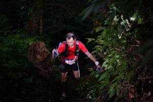 BIB: 6432
                            <button type="button" onclick="openModal(19283732)" class="btn btn-primary btn-sm float-right btn-popup" data-toggle="modal" data-target=".modal-high-quality">
                        <i class="fas fa-shopping-cart"></i> Add to Cart
                    </button>
                                            <button type="button" onclick="isThisMe(19283732, true)" class="btn btn-success btn-sm float-right btn-popup btn-isme hidden" data-toggle="tooltip" data-placement="bottom" title="นี่คือรูปของคุณใช่ไหม คลิกที่นี่เพื่อเอาเข้าอัลบั้ม">
                        <i class="fas fa-plus"></i> Add to album
                    </button>
                    <button type="button" onclick="isThisMe(19283732, false)" class="btn btn-warning btn-sm float-right btn-popup btn-isnotme hidden">
                        <i class="fas fa-ban"></i> Remove from album
                    </button>