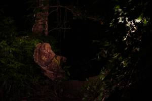 BIB: 
                            <button type="button" onclick="openModal(19281741)" class="btn btn-primary btn-sm float-right btn-popup" data-toggle="modal" data-target=".modal-high-quality">
                        <i class="fas fa-shopping-cart"></i> Add to Cart
                    </button>
                                            <button type="button" onclick="isThisMe(19281741, true)" class="btn btn-success btn-sm float-right btn-popup btn-isme hidden" data-toggle="tooltip" data-placement="bottom" title="นี่คือรูปของคุณใช่ไหม คลิกที่นี่เพื่อเอาเข้าอัลบั้ม">
                        <i class="fas fa-plus"></i> Add to album
                    </button>
                    <button type="button" onclick="isThisMe(19281741, false)" class="btn btn-warning btn-sm float-right btn-popup btn-isnotme hidden">
                        <i class="fas fa-ban"></i> Remove from album
                    </button>