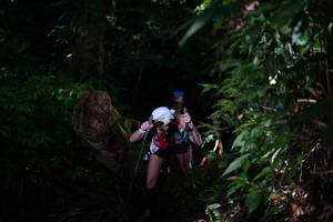 BIB: 
                            <button type="button" onclick="openModal(19285641)" class="btn btn-primary btn-sm float-right btn-popup" data-toggle="modal" data-target=".modal-high-quality">
                        <i class="fas fa-shopping-cart"></i> Add to Cart
                    </button>
                                            <button type="button" onclick="isThisMe(19285641, true)" class="btn btn-success btn-sm float-right btn-popup btn-isme hidden" data-toggle="tooltip" data-placement="bottom" title="นี่คือรูปของคุณใช่ไหม คลิกที่นี่เพื่อเอาเข้าอัลบั้ม">
                        <i class="fas fa-plus"></i> Add to album
                    </button>
                    <button type="button" onclick="isThisMe(19285641, false)" class="btn btn-warning btn-sm float-right btn-popup btn-isnotme hidden">
                        <i class="fas fa-ban"></i> Remove from album
                    </button>