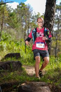 BIB: 5799
                            <button type="button" onclick="openModal(19274200)" class="btn btn-primary btn-sm float-right btn-popup" data-toggle="modal" data-target=".modal-high-quality">
                        <i class="fas fa-shopping-cart"></i> Add to Cart
                    </button>
                                            <button type="button" onclick="isThisMe(19274200, true)" class="btn btn-success btn-sm float-right btn-popup btn-isme hidden" data-toggle="tooltip" data-placement="bottom" title="นี่คือรูปของคุณใช่ไหม คลิกที่นี่เพื่อเอาเข้าอัลบั้ม">
                        <i class="fas fa-plus"></i> Add to album
                    </button>
                    <button type="button" onclick="isThisMe(19274200, false)" class="btn btn-warning btn-sm float-right btn-popup btn-isnotme hidden">
                        <i class="fas fa-ban"></i> Remove from album
                    </button>