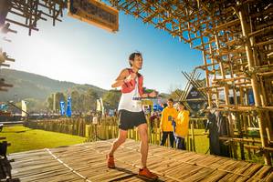 BIB: 2005
                            <button type="button" onclick="openModal(19293275)" class="btn btn-primary btn-sm float-right btn-popup" data-toggle="modal" data-target=".modal-high-quality">
                        <i class="fas fa-shopping-cart"></i> Add to Cart
                    </button>
                                            <button type="button" onclick="isThisMe(19293275, true)" class="btn btn-success btn-sm float-right btn-popup btn-isme hidden" data-toggle="tooltip" data-placement="bottom" title="นี่คือรูปของคุณใช่ไหม คลิกที่นี่เพื่อเอาเข้าอัลบั้ม">
                        <i class="fas fa-plus"></i> Add to album
                    </button>
                    <button type="button" onclick="isThisMe(19293275, false)" class="btn btn-warning btn-sm float-right btn-popup btn-isnotme hidden">
                        <i class="fas fa-ban"></i> Remove from album
                    </button>