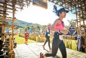 BIB: 
                            <button type="button" onclick="openModal(19310291)" class="btn btn-primary btn-sm float-right btn-popup" data-toggle="modal" data-target=".modal-high-quality">
                        <i class="fas fa-shopping-cart"></i> Add to Cart
                    </button>
                                            <button type="button" onclick="isThisMe(19310291, true)" class="btn btn-success btn-sm float-right btn-popup btn-isme hidden" data-toggle="tooltip" data-placement="bottom" title="นี่คือรูปของคุณใช่ไหม คลิกที่นี่เพื่อเอาเข้าอัลบั้ม">
                        <i class="fas fa-plus"></i> Add to album
                    </button>
                    <button type="button" onclick="isThisMe(19310291, false)" class="btn btn-warning btn-sm float-right btn-popup btn-isnotme hidden">
                        <i class="fas fa-ban"></i> Remove from album
                    </button>