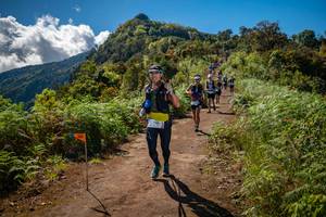 BIB: 495, 
                            <button type="button" onclick="openModal(19152507)" class="btn btn-primary btn-sm float-right btn-popup" data-toggle="modal" data-target=".modal-high-quality">
                        <i class="fas fa-shopping-cart"></i> Add to Cart
                    </button>
                                            <button type="button" onclick="isThisMe(19152507, true)" class="btn btn-success btn-sm float-right btn-popup btn-isme hidden" data-toggle="tooltip" data-placement="bottom" title="นี่คือรูปของคุณใช่ไหม คลิกที่นี่เพื่อเอาเข้าอัลบั้ม">
                        <i class="fas fa-plus"></i> Add to album
                    </button>
                    <button type="button" onclick="isThisMe(19152507, false)" class="btn btn-warning btn-sm float-right btn-popup btn-isnotme hidden">
                        <i class="fas fa-ban"></i> Remove from album
                    </button>