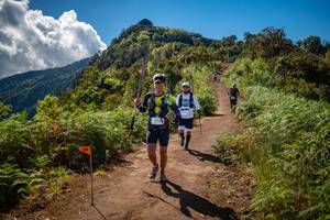 BIB: 
                            <button type="button" onclick="openModal(19175871)" class="btn btn-primary btn-sm float-right btn-popup" data-toggle="modal" data-target=".modal-high-quality">
                        <i class="fas fa-shopping-cart"></i> Add to Cart
                    </button>
                                            <button type="button" onclick="isThisMe(19175871, true)" class="btn btn-success btn-sm float-right btn-popup btn-isme hidden" data-toggle="tooltip" data-placement="bottom" title="นี่คือรูปของคุณใช่ไหม คลิกที่นี่เพื่อเอาเข้าอัลบั้ม">
                        <i class="fas fa-plus"></i> Add to album
                    </button>
                    <button type="button" onclick="isThisMe(19175871, false)" class="btn btn-warning btn-sm float-right btn-popup btn-isnotme hidden">
                        <i class="fas fa-ban"></i> Remove from album
                    </button>