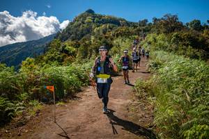 BIB: 
                            <button type="button" onclick="openModal(19152498)" class="btn btn-primary btn-sm float-right btn-popup" data-toggle="modal" data-target=".modal-high-quality">
                        <i class="fas fa-shopping-cart"></i> Add to Cart
                    </button>
                                            <button type="button" onclick="isThisMe(19152498, true)" class="btn btn-success btn-sm float-right btn-popup btn-isme hidden" data-toggle="tooltip" data-placement="bottom" title="นี่คือรูปของคุณใช่ไหม คลิกที่นี่เพื่อเอาเข้าอัลบั้ม">
                        <i class="fas fa-plus"></i> Add to album
                    </button>
                    <button type="button" onclick="isThisMe(19152498, false)" class="btn btn-warning btn-sm float-right btn-popup btn-isnotme hidden">
                        <i class="fas fa-ban"></i> Remove from album
                    </button>