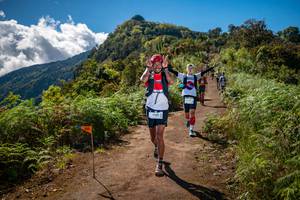 BIB: 
                            <button type="button" onclick="openModal(19153382)" class="btn btn-primary btn-sm float-right btn-popup" data-toggle="modal" data-target=".modal-high-quality">
                        <i class="fas fa-shopping-cart"></i> Add to Cart
                    </button>
                                            <button type="button" onclick="isThisMe(19153382, true)" class="btn btn-success btn-sm float-right btn-popup btn-isme hidden" data-toggle="tooltip" data-placement="bottom" title="นี่คือรูปของคุณใช่ไหม คลิกที่นี่เพื่อเอาเข้าอัลบั้ม">
                        <i class="fas fa-plus"></i> Add to album
                    </button>
                    <button type="button" onclick="isThisMe(19153382, false)" class="btn btn-warning btn-sm float-right btn-popup btn-isnotme hidden">
                        <i class="fas fa-ban"></i> Remove from album
                    </button>