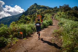 BIB: 
                            <button type="button" onclick="openModal(19152060)" class="btn btn-primary btn-sm float-right btn-popup" data-toggle="modal" data-target=".modal-high-quality">
                        <i class="fas fa-shopping-cart"></i> Add to Cart
                    </button>
                                            <button type="button" onclick="isThisMe(19152060, true)" class="btn btn-success btn-sm float-right btn-popup btn-isme hidden" data-toggle="tooltip" data-placement="bottom" title="นี่คือรูปของคุณใช่ไหม คลิกที่นี่เพื่อเอาเข้าอัลบั้ม">
                        <i class="fas fa-plus"></i> Add to album
                    </button>
                    <button type="button" onclick="isThisMe(19152060, false)" class="btn btn-warning btn-sm float-right btn-popup btn-isnotme hidden">
                        <i class="fas fa-ban"></i> Remove from album
                    </button>