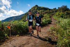 BIB: 9736
                            <button type="button" onclick="openModal(19065923)" class="btn btn-primary btn-sm float-right btn-popup" data-toggle="modal" data-target=".modal-high-quality">
                        <i class="fas fa-shopping-cart"></i> Add to Cart
                    </button>
                                            <button type="button" onclick="isThisMe(19065923, true)" class="btn btn-success btn-sm float-right btn-popup btn-isme hidden" data-toggle="tooltip" data-placement="bottom" title="นี่คือรูปของคุณใช่ไหม คลิกที่นี่เพื่อเอาเข้าอัลบั้ม">
                        <i class="fas fa-plus"></i> Add to album
                    </button>
                    <button type="button" onclick="isThisMe(19065923, false)" class="btn btn-warning btn-sm float-right btn-popup btn-isnotme hidden">
                        <i class="fas fa-ban"></i> Remove from album
                    </button>