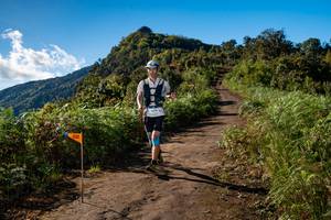 BIB: 
                            <button type="button" onclick="openModal(19046909)" class="btn btn-primary btn-sm float-right btn-popup" data-toggle="modal" data-target=".modal-high-quality">
                        <i class="fas fa-shopping-cart"></i> Add to Cart
                    </button>
                                            <button type="button" onclick="isThisMe(19046909, true)" class="btn btn-success btn-sm float-right btn-popup btn-isme hidden" data-toggle="tooltip" data-placement="bottom" title="นี่คือรูปของคุณใช่ไหม คลิกที่นี่เพื่อเอาเข้าอัลบั้ม">
                        <i class="fas fa-plus"></i> Add to album
                    </button>
                    <button type="button" onclick="isThisMe(19046909, false)" class="btn btn-warning btn-sm float-right btn-popup btn-isnotme hidden">
                        <i class="fas fa-ban"></i> Remove from album
                    </button>