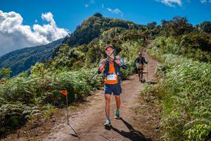 BIB: 
                            <button type="button" onclick="openModal(19184669)" class="btn btn-primary btn-sm float-right btn-popup" data-toggle="modal" data-target=".modal-high-quality">
                        <i class="fas fa-shopping-cart"></i> Add to Cart
                    </button>
                                            <button type="button" onclick="isThisMe(19184669, true)" class="btn btn-success btn-sm float-right btn-popup btn-isme hidden" data-toggle="tooltip" data-placement="bottom" title="นี่คือรูปของคุณใช่ไหม คลิกที่นี่เพื่อเอาเข้าอัลบั้ม">
                        <i class="fas fa-plus"></i> Add to album
                    </button>
                    <button type="button" onclick="isThisMe(19184669, false)" class="btn btn-warning btn-sm float-right btn-popup btn-isnotme hidden">
                        <i class="fas fa-ban"></i> Remove from album
                    </button>