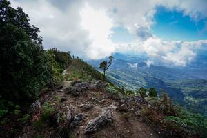 BIB: 
                            <button type="button" onclick="openModal(19137436)" class="btn btn-primary btn-sm float-right btn-popup" data-toggle="modal" data-target=".modal-high-quality">
                        <i class="fas fa-shopping-cart"></i> Add to Cart
                    </button>
                                            <button type="button" onclick="isThisMe(19137436, true)" class="btn btn-success btn-sm float-right btn-popup btn-isme hidden" data-toggle="tooltip" data-placement="bottom" title="นี่คือรูปของคุณใช่ไหม คลิกที่นี่เพื่อเอาเข้าอัลบั้ม">
                        <i class="fas fa-plus"></i> Add to album
                    </button>
                    <button type="button" onclick="isThisMe(19137436, false)" class="btn btn-warning btn-sm float-right btn-popup btn-isnotme hidden">
                        <i class="fas fa-ban"></i> Remove from album
                    </button>