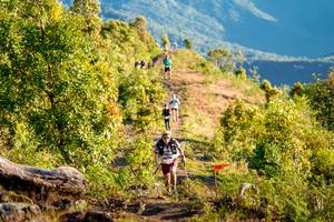 BIB: 
                            <button type="button" onclick="openModal(19189375)" class="btn btn-primary btn-sm float-right btn-popup" data-toggle="modal" data-target=".modal-high-quality">
                        <i class="fas fa-shopping-cart"></i> Add to Cart
                    </button>
                                            <button type="button" onclick="isThisMe(19189375, true)" class="btn btn-success btn-sm float-right btn-popup btn-isme hidden" data-toggle="tooltip" data-placement="bottom" title="นี่คือรูปของคุณใช่ไหม คลิกที่นี่เพื่อเอาเข้าอัลบั้ม">
                        <i class="fas fa-plus"></i> Add to album
                    </button>
                    <button type="button" onclick="isThisMe(19189375, false)" class="btn btn-warning btn-sm float-right btn-popup btn-isnotme hidden">
                        <i class="fas fa-ban"></i> Remove from album
                    </button>