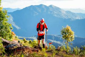 BIB: 
                            <button type="button" onclick="openModal(19189049)" class="btn btn-primary btn-sm float-right btn-popup" data-toggle="modal" data-target=".modal-high-quality">
                        <i class="fas fa-shopping-cart"></i> Add to Cart
                    </button>
                                            <button type="button" onclick="isThisMe(19189049, true)" class="btn btn-success btn-sm float-right btn-popup btn-isme hidden" data-toggle="tooltip" data-placement="bottom" title="นี่คือรูปของคุณใช่ไหม คลิกที่นี่เพื่อเอาเข้าอัลบั้ม">
                        <i class="fas fa-plus"></i> Add to album
                    </button>
                    <button type="button" onclick="isThisMe(19189049, false)" class="btn btn-warning btn-sm float-right btn-popup btn-isnotme hidden">
                        <i class="fas fa-ban"></i> Remove from album
                    </button>