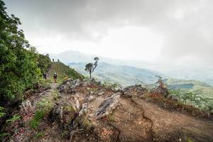 BIB: 
                            <button type="button" onclick="openModal(19138035)" class="btn btn-primary btn-sm float-right btn-popup" data-toggle="modal" data-target=".modal-high-quality">
                        <i class="fas fa-shopping-cart"></i> Add to Cart
                    </button>
                                            <button type="button" onclick="isThisMe(19138035, true)" class="btn btn-success btn-sm float-right btn-popup btn-isme hidden" data-toggle="tooltip" data-placement="bottom" title="นี่คือรูปของคุณใช่ไหม คลิกที่นี่เพื่อเอาเข้าอัลบั้ม">
                        <i class="fas fa-plus"></i> Add to album
                    </button>
                    <button type="button" onclick="isThisMe(19138035, false)" class="btn btn-warning btn-sm float-right btn-popup btn-isnotme hidden">
                        <i class="fas fa-ban"></i> Remove from album
                    </button>