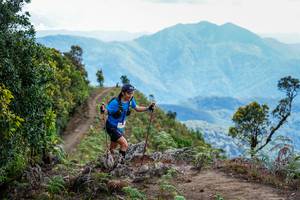 BIB: 
                            <button type="button" onclick="openModal(19178498)" class="btn btn-primary btn-sm float-right btn-popup" data-toggle="modal" data-target=".modal-high-quality">
                        <i class="fas fa-shopping-cart"></i> Add to Cart
                    </button>
                                            <button type="button" onclick="isThisMe(19178498, true)" class="btn btn-success btn-sm float-right btn-popup btn-isme hidden" data-toggle="tooltip" data-placement="bottom" title="นี่คือรูปของคุณใช่ไหม คลิกที่นี่เพื่อเอาเข้าอัลบั้ม">
                        <i class="fas fa-plus"></i> Add to album
                    </button>
                    <button type="button" onclick="isThisMe(19178498, false)" class="btn btn-warning btn-sm float-right btn-popup btn-isnotme hidden">
                        <i class="fas fa-ban"></i> Remove from album
                    </button>