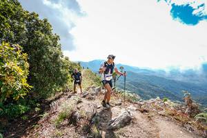 BIB: 
                            <button type="button" onclick="openModal(19137914)" class="btn btn-primary btn-sm float-right btn-popup" data-toggle="modal" data-target=".modal-high-quality">
                        <i class="fas fa-shopping-cart"></i> Add to Cart
                    </button>
                                            <button type="button" onclick="isThisMe(19137914, true)" class="btn btn-success btn-sm float-right btn-popup btn-isme hidden" data-toggle="tooltip" data-placement="bottom" title="นี่คือรูปของคุณใช่ไหม คลิกที่นี่เพื่อเอาเข้าอัลบั้ม">
                        <i class="fas fa-plus"></i> Add to album
                    </button>
                    <button type="button" onclick="isThisMe(19137914, false)" class="btn btn-warning btn-sm float-right btn-popup btn-isnotme hidden">
                        <i class="fas fa-ban"></i> Remove from album
                    </button>