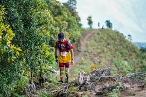 BIB: 1100
                            <button type="button" onclick="openModal(19178804)" class="btn btn-primary btn-sm float-right btn-popup" data-toggle="modal" data-target=".modal-high-quality">
                        <i class="fas fa-shopping-cart"></i> Add to Cart
                    </button>
                                            <button type="button" onclick="isThisMe(19178804, true)" class="btn btn-success btn-sm float-right btn-popup btn-isme hidden" data-toggle="tooltip" data-placement="bottom" title="นี่คือรูปของคุณใช่ไหม คลิกที่นี่เพื่อเอาเข้าอัลบั้ม">
                        <i class="fas fa-plus"></i> Add to album
                    </button>
                    <button type="button" onclick="isThisMe(19178804, false)" class="btn btn-warning btn-sm float-right btn-popup btn-isnotme hidden">
                        <i class="fas fa-ban"></i> Remove from album
                    </button>