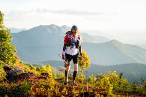 BIB: 
                            <button type="button" onclick="openModal(19191318)" class="btn btn-primary btn-sm float-right btn-popup" data-toggle="modal" data-target=".modal-high-quality">
                        <i class="fas fa-shopping-cart"></i> Add to Cart
                    </button>
                                            <button type="button" onclick="isThisMe(19191318, true)" class="btn btn-success btn-sm float-right btn-popup btn-isme hidden" data-toggle="tooltip" data-placement="bottom" title="นี่คือรูปของคุณใช่ไหม คลิกที่นี่เพื่อเอาเข้าอัลบั้ม">
                        <i class="fas fa-plus"></i> Add to album
                    </button>
                    <button type="button" onclick="isThisMe(19191318, false)" class="btn btn-warning btn-sm float-right btn-popup btn-isnotme hidden">
                        <i class="fas fa-ban"></i> Remove from album
                    </button>