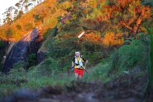 BIB: 
                            <button type="button" onclick="openModal(19248468)" class="btn btn-primary btn-sm float-right btn-popup" data-toggle="modal" data-target=".modal-high-quality">
                        <i class="fas fa-shopping-cart"></i> Add to Cart
                    </button>
                                            <button type="button" onclick="isThisMe(19248468, true)" class="btn btn-success btn-sm float-right btn-popup btn-isme hidden" data-toggle="tooltip" data-placement="bottom" title="นี่คือรูปของคุณใช่ไหม คลิกที่นี่เพื่อเอาเข้าอัลบั้ม">
                        <i class="fas fa-plus"></i> Add to album
                    </button>
                    <button type="button" onclick="isThisMe(19248468, false)" class="btn btn-warning btn-sm float-right btn-popup btn-isnotme hidden">
                        <i class="fas fa-ban"></i> Remove from album
                    </button>