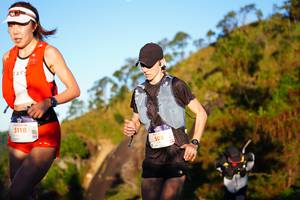 BIB: 5118, 505
                            <button type="button" onclick="openModal(19253356)" class="btn btn-primary btn-sm float-right btn-popup" data-toggle="modal" data-target=".modal-high-quality">
                        <i class="fas fa-shopping-cart"></i> Add to Cart
                    </button>
                                            <button type="button" onclick="isThisMe(19253356, true)" class="btn btn-success btn-sm float-right btn-popup btn-isme hidden" data-toggle="tooltip" data-placement="bottom" title="นี่คือรูปของคุณใช่ไหม คลิกที่นี่เพื่อเอาเข้าอัลบั้ม">
                        <i class="fas fa-plus"></i> Add to album
                    </button>
                    <button type="button" onclick="isThisMe(19253356, false)" class="btn btn-warning btn-sm float-right btn-popup btn-isnotme hidden">
                        <i class="fas fa-ban"></i> Remove from album
                    </button>