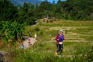 BIB: 
                            <button type="button" onclick="openModal(19096611)" class="btn btn-primary btn-sm float-right btn-popup" data-toggle="modal" data-target=".modal-high-quality">
                        <i class="fas fa-shopping-cart"></i> Add to Cart
                    </button>
                                            <button type="button" onclick="isThisMe(19096611, true)" class="btn btn-success btn-sm float-right btn-popup btn-isme hidden" data-toggle="tooltip" data-placement="bottom" title="นี่คือรูปของคุณใช่ไหม คลิกที่นี่เพื่อเอาเข้าอัลบั้ม">
                        <i class="fas fa-plus"></i> Add to album
                    </button>
                    <button type="button" onclick="isThisMe(19096611, false)" class="btn btn-warning btn-sm float-right btn-popup btn-isnotme hidden">
                        <i class="fas fa-ban"></i> Remove from album
                    </button>