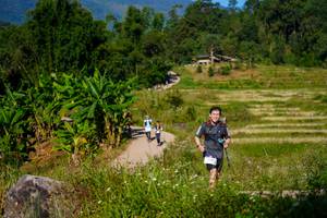 BIB: 
                            <button type="button" onclick="openModal(19095578)" class="btn btn-primary btn-sm float-right btn-popup" data-toggle="modal" data-target=".modal-high-quality">
                        <i class="fas fa-shopping-cart"></i> Add to Cart
                    </button>
                                            <button type="button" onclick="isThisMe(19095578, true)" class="btn btn-success btn-sm float-right btn-popup btn-isme hidden" data-toggle="tooltip" data-placement="bottom" title="นี่คือรูปของคุณใช่ไหม คลิกที่นี่เพื่อเอาเข้าอัลบั้ม">
                        <i class="fas fa-plus"></i> Add to album
                    </button>
                    <button type="button" onclick="isThisMe(19095578, false)" class="btn btn-warning btn-sm float-right btn-popup btn-isnotme hidden">
                        <i class="fas fa-ban"></i> Remove from album
                    </button>