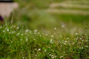 BIB: 
                            <button type="button" onclick="openModal(19102617)" class="btn btn-primary btn-sm float-right btn-popup" data-toggle="modal" data-target=".modal-high-quality">
                        <i class="fas fa-shopping-cart"></i> Add to Cart
                    </button>
                                            <button type="button" onclick="isThisMe(19102617, true)" class="btn btn-success btn-sm float-right btn-popup btn-isme hidden" data-toggle="tooltip" data-placement="bottom" title="นี่คือรูปของคุณใช่ไหม คลิกที่นี่เพื่อเอาเข้าอัลบั้ม">
                        <i class="fas fa-plus"></i> Add to album
                    </button>
                    <button type="button" onclick="isThisMe(19102617, false)" class="btn btn-warning btn-sm float-right btn-popup btn-isnotme hidden">
                        <i class="fas fa-ban"></i> Remove from album
                    </button>