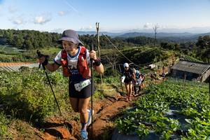 BIB: 9389
                            <button type="button" onclick="openModal(19196580)" class="btn btn-primary btn-sm float-right btn-popup" data-toggle="modal" data-target=".modal-high-quality">
                        <i class="fas fa-shopping-cart"></i> Add to Cart
                    </button>
                                            <button type="button" onclick="isThisMe(19196580, true)" class="btn btn-success btn-sm float-right btn-popup btn-isme hidden" data-toggle="tooltip" data-placement="bottom" title="นี่คือรูปของคุณใช่ไหม คลิกที่นี่เพื่อเอาเข้าอัลบั้ม">
                        <i class="fas fa-plus"></i> Add to album
                    </button>
                    <button type="button" onclick="isThisMe(19196580, false)" class="btn btn-warning btn-sm float-right btn-popup btn-isnotme hidden">
                        <i class="fas fa-ban"></i> Remove from album
                    </button>