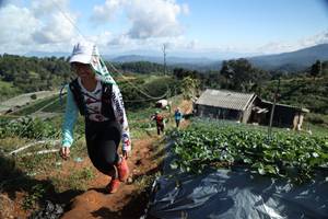 BIB: 
                            <button type="button" onclick="openModal(19201110)" class="btn btn-primary btn-sm float-right btn-popup" data-toggle="modal" data-target=".modal-high-quality">
                        <i class="fas fa-shopping-cart"></i> Add to Cart
                    </button>
                                            <button type="button" onclick="isThisMe(19201110, true)" class="btn btn-success btn-sm float-right btn-popup btn-isme hidden" data-toggle="tooltip" data-placement="bottom" title="นี่คือรูปของคุณใช่ไหม คลิกที่นี่เพื่อเอาเข้าอัลบั้ม">
                        <i class="fas fa-plus"></i> Add to album
                    </button>
                    <button type="button" onclick="isThisMe(19201110, false)" class="btn btn-warning btn-sm float-right btn-popup btn-isnotme hidden">
                        <i class="fas fa-ban"></i> Remove from album
                    </button>