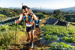 BIB: 9734
                            <button type="button" onclick="openModal(19174219)" class="btn btn-primary btn-sm float-right btn-popup" data-toggle="modal" data-target=".modal-high-quality">
                        <i class="fas fa-shopping-cart"></i> Add to Cart
                    </button>
                                            <button type="button" onclick="isThisMe(19174219, true)" class="btn btn-success btn-sm float-right btn-popup btn-isme hidden" data-toggle="tooltip" data-placement="bottom" title="นี่คือรูปของคุณใช่ไหม คลิกที่นี่เพื่อเอาเข้าอัลบั้ม">
                        <i class="fas fa-plus"></i> Add to album
                    </button>
                    <button type="button" onclick="isThisMe(19174219, false)" class="btn btn-warning btn-sm float-right btn-popup btn-isnotme hidden">
                        <i class="fas fa-ban"></i> Remove from album
                    </button>