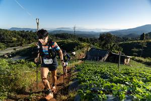 BIB: 9081
                            <button type="button" onclick="openModal(19178941)" class="btn btn-primary btn-sm float-right btn-popup" data-toggle="modal" data-target=".modal-high-quality">
                        <i class="fas fa-shopping-cart"></i> Add to Cart
                    </button>
                                            <button type="button" onclick="isThisMe(19178941, true)" class="btn btn-success btn-sm float-right btn-popup btn-isme hidden" data-toggle="tooltip" data-placement="bottom" title="นี่คือรูปของคุณใช่ไหม คลิกที่นี่เพื่อเอาเข้าอัลบั้ม">
                        <i class="fas fa-plus"></i> Add to album
                    </button>
                    <button type="button" onclick="isThisMe(19178941, false)" class="btn btn-warning btn-sm float-right btn-popup btn-isnotme hidden">
                        <i class="fas fa-ban"></i> Remove from album
                    </button>