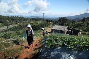 BIB: 
                            <button type="button" onclick="openModal(19201089)" class="btn btn-primary btn-sm float-right btn-popup" data-toggle="modal" data-target=".modal-high-quality">
                        <i class="fas fa-shopping-cart"></i> Add to Cart
                    </button>
                                            <button type="button" onclick="isThisMe(19201089, true)" class="btn btn-success btn-sm float-right btn-popup btn-isme hidden" data-toggle="tooltip" data-placement="bottom" title="นี่คือรูปของคุณใช่ไหม คลิกที่นี่เพื่อเอาเข้าอัลบั้ม">
                        <i class="fas fa-plus"></i> Add to album
                    </button>
                    <button type="button" onclick="isThisMe(19201089, false)" class="btn btn-warning btn-sm float-right btn-popup btn-isnotme hidden">
                        <i class="fas fa-ban"></i> Remove from album
                    </button>