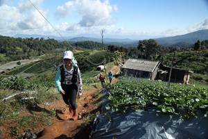 BIB: 
                            <button type="button" onclick="openModal(19201109)" class="btn btn-primary btn-sm float-right btn-popup" data-toggle="modal" data-target=".modal-high-quality">
                        <i class="fas fa-shopping-cart"></i> Add to Cart
                    </button>
                                            <button type="button" onclick="isThisMe(19201109, true)" class="btn btn-success btn-sm float-right btn-popup btn-isme hidden" data-toggle="tooltip" data-placement="bottom" title="นี่คือรูปของคุณใช่ไหม คลิกที่นี่เพื่อเอาเข้าอัลบั้ม">
                        <i class="fas fa-plus"></i> Add to album
                    </button>
                    <button type="button" onclick="isThisMe(19201109, false)" class="btn btn-warning btn-sm float-right btn-popup btn-isnotme hidden">
                        <i class="fas fa-ban"></i> Remove from album
                    </button>