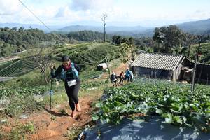 BIB: 
                            <button type="button" onclick="openModal(19201033)" class="btn btn-primary btn-sm float-right btn-popup" data-toggle="modal" data-target=".modal-high-quality">
                        <i class="fas fa-shopping-cart"></i> Add to Cart
                    </button>
                                            <button type="button" onclick="isThisMe(19201033, true)" class="btn btn-success btn-sm float-right btn-popup btn-isme hidden" data-toggle="tooltip" data-placement="bottom" title="นี่คือรูปของคุณใช่ไหม คลิกที่นี่เพื่อเอาเข้าอัลบั้ม">
                        <i class="fas fa-plus"></i> Add to album
                    </button>
                    <button type="button" onclick="isThisMe(19201033, false)" class="btn btn-warning btn-sm float-right btn-popup btn-isnotme hidden">
                        <i class="fas fa-ban"></i> Remove from album
                    </button>