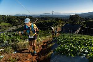 BIB: 
                            <button type="button" onclick="openModal(19182916)" class="btn btn-primary btn-sm float-right btn-popup" data-toggle="modal" data-target=".modal-high-quality">
                        <i class="fas fa-shopping-cart"></i> Add to Cart
                    </button>
                                            <button type="button" onclick="isThisMe(19182916, true)" class="btn btn-success btn-sm float-right btn-popup btn-isme hidden" data-toggle="tooltip" data-placement="bottom" title="นี่คือรูปของคุณใช่ไหม คลิกที่นี่เพื่อเอาเข้าอัลบั้ม">
                        <i class="fas fa-plus"></i> Add to album
                    </button>
                    <button type="button" onclick="isThisMe(19182916, false)" class="btn btn-warning btn-sm float-right btn-popup btn-isnotme hidden">
                        <i class="fas fa-ban"></i> Remove from album
                    </button>