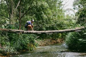 BIB: 
                            <button type="button" onclick="openModal(19210358)" class="btn btn-primary btn-sm float-right btn-popup" data-toggle="modal" data-target=".modal-high-quality">
                        <i class="fas fa-shopping-cart"></i> Add to Cart
                    </button>
                                            <button type="button" onclick="isThisMe(19210358, true)" class="btn btn-success btn-sm float-right btn-popup btn-isme hidden" data-toggle="tooltip" data-placement="bottom" title="นี่คือรูปของคุณใช่ไหม คลิกที่นี่เพื่อเอาเข้าอัลบั้ม">
                        <i class="fas fa-plus"></i> Add to album
                    </button>
                    <button type="button" onclick="isThisMe(19210358, false)" class="btn btn-warning btn-sm float-right btn-popup btn-isnotme hidden">
                        <i class="fas fa-ban"></i> Remove from album
                    </button>