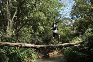 BIB: 
                            <button type="button" onclick="openModal(19209518)" class="btn btn-primary btn-sm float-right btn-popup" data-toggle="modal" data-target=".modal-high-quality">
                        <i class="fas fa-shopping-cart"></i> Add to Cart
                    </button>
                                            <button type="button" onclick="isThisMe(19209518, true)" class="btn btn-success btn-sm float-right btn-popup btn-isme hidden" data-toggle="tooltip" data-placement="bottom" title="นี่คือรูปของคุณใช่ไหม คลิกที่นี่เพื่อเอาเข้าอัลบั้ม">
                        <i class="fas fa-plus"></i> Add to album
                    </button>
                    <button type="button" onclick="isThisMe(19209518, false)" class="btn btn-warning btn-sm float-right btn-popup btn-isnotme hidden">
                        <i class="fas fa-ban"></i> Remove from album
                    </button>