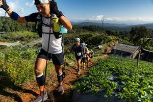 BIB: 
                            <button type="button" onclick="openModal(19199634)" class="btn btn-primary btn-sm float-right btn-popup" data-toggle="modal" data-target=".modal-high-quality">
                        <i class="fas fa-shopping-cart"></i> Add to Cart
                    </button>
                                            <button type="button" onclick="isThisMe(19199634, true)" class="btn btn-success btn-sm float-right btn-popup btn-isme hidden" data-toggle="tooltip" data-placement="bottom" title="นี่คือรูปของคุณใช่ไหม คลิกที่นี่เพื่อเอาเข้าอัลบั้ม">
                        <i class="fas fa-plus"></i> Add to album
                    </button>
                    <button type="button" onclick="isThisMe(19199634, false)" class="btn btn-warning btn-sm float-right btn-popup btn-isnotme hidden">
                        <i class="fas fa-ban"></i> Remove from album
                    </button>