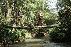 BIB: 
                            <button type="button" onclick="openModal(19211681)" class="btn btn-primary btn-sm float-right btn-popup" data-toggle="modal" data-target=".modal-high-quality">
                        <i class="fas fa-shopping-cart"></i> Add to Cart
                    </button>
                                            <button type="button" onclick="isThisMe(19211681, true)" class="btn btn-success btn-sm float-right btn-popup btn-isme hidden" data-toggle="tooltip" data-placement="bottom" title="นี่คือรูปของคุณใช่ไหม คลิกที่นี่เพื่อเอาเข้าอัลบั้ม">
                        <i class="fas fa-plus"></i> Add to album
                    </button>
                    <button type="button" onclick="isThisMe(19211681, false)" class="btn btn-warning btn-sm float-right btn-popup btn-isnotme hidden">
                        <i class="fas fa-ban"></i> Remove from album
                    </button>