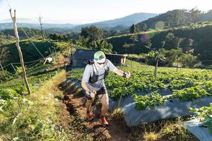 BIB: 
                            <button type="button" onclick="openModal(19174191)" class="btn btn-primary btn-sm float-right btn-popup" data-toggle="modal" data-target=".modal-high-quality">
                        <i class="fas fa-shopping-cart"></i> Add to Cart
                    </button>
                                            <button type="button" onclick="isThisMe(19174191, true)" class="btn btn-success btn-sm float-right btn-popup btn-isme hidden" data-toggle="tooltip" data-placement="bottom" title="นี่คือรูปของคุณใช่ไหม คลิกที่นี่เพื่อเอาเข้าอัลบั้ม">
                        <i class="fas fa-plus"></i> Add to album
                    </button>
                    <button type="button" onclick="isThisMe(19174191, false)" class="btn btn-warning btn-sm float-right btn-popup btn-isnotme hidden">
                        <i class="fas fa-ban"></i> Remove from album
                    </button>