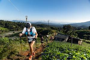 BIB: 
                            <button type="button" onclick="openModal(19194813)" class="btn btn-primary btn-sm float-right btn-popup" data-toggle="modal" data-target=".modal-high-quality">
                        <i class="fas fa-shopping-cart"></i> Add to Cart
                    </button>
                                            <button type="button" onclick="isThisMe(19194813, true)" class="btn btn-success btn-sm float-right btn-popup btn-isme hidden" data-toggle="tooltip" data-placement="bottom" title="นี่คือรูปของคุณใช่ไหม คลิกที่นี่เพื่อเอาเข้าอัลบั้ม">
                        <i class="fas fa-plus"></i> Add to album
                    </button>
                    <button type="button" onclick="isThisMe(19194813, false)" class="btn btn-warning btn-sm float-right btn-popup btn-isnotme hidden">
                        <i class="fas fa-ban"></i> Remove from album
                    </button>