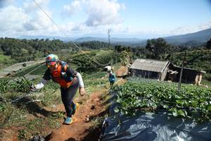 BIB: 
                            <button type="button" onclick="openModal(19201106)" class="btn btn-primary btn-sm float-right btn-popup" data-toggle="modal" data-target=".modal-high-quality">
                        <i class="fas fa-shopping-cart"></i> Add to Cart
                    </button>
                                            <button type="button" onclick="isThisMe(19201106, true)" class="btn btn-success btn-sm float-right btn-popup btn-isme hidden" data-toggle="tooltip" data-placement="bottom" title="นี่คือรูปของคุณใช่ไหม คลิกที่นี่เพื่อเอาเข้าอัลบั้ม">
                        <i class="fas fa-plus"></i> Add to album
                    </button>
                    <button type="button" onclick="isThisMe(19201106, false)" class="btn btn-warning btn-sm float-right btn-popup btn-isnotme hidden">
                        <i class="fas fa-ban"></i> Remove from album
                    </button>